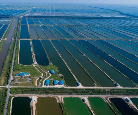 Benefiting from Wudi County’s advantageous foundation in marine fishery