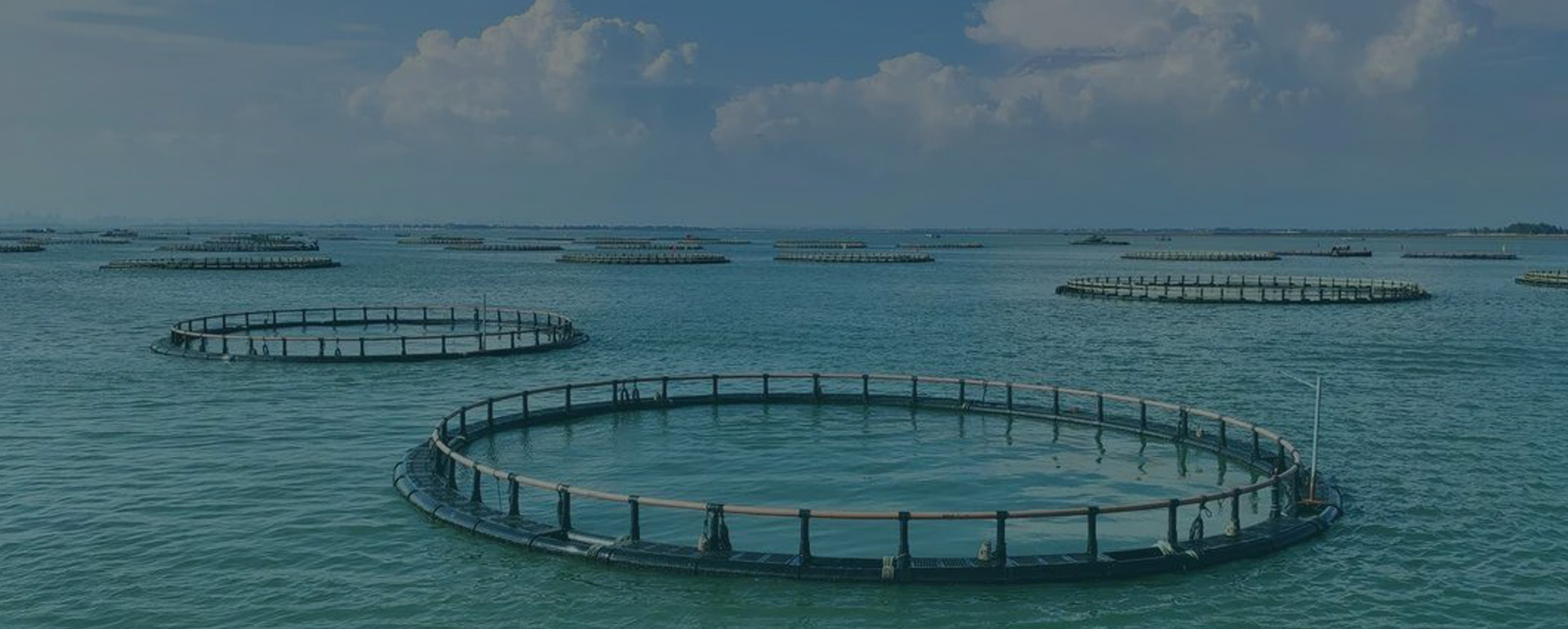 aquaculture