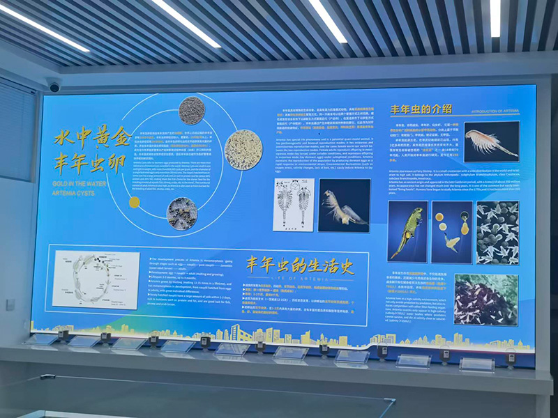 A corner of the factory area